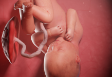 Koryoamniyonit Nedir?