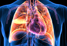 Paralitik Kabuklu Deniz Ürünü Zehirlenmesi Nedir?