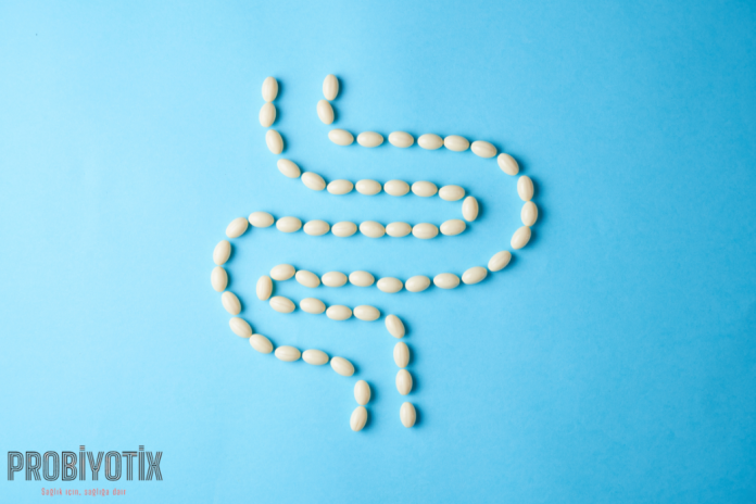 probiyotikler-1027.png