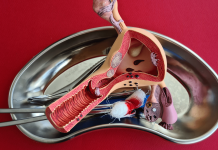 Psödohermafroditizm Nedir?