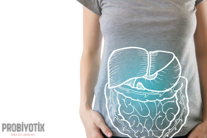 probiyotikler-1008.png